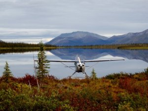 1927622_1083440679820_3767_n