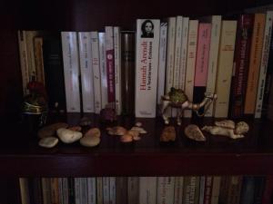 10644810_582571708508952_6474784518097245390_n