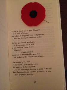 11139401_10205045631367587_3688627046425035652_n